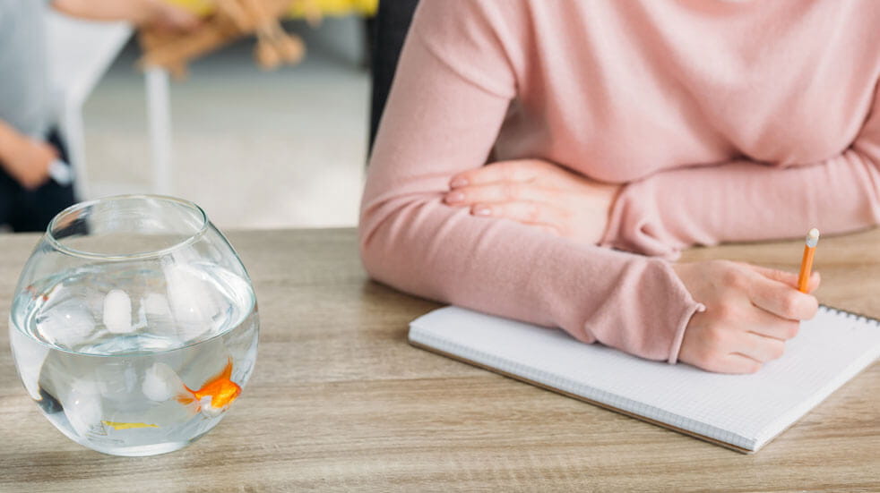 Why having pets at home could change your life; woman with goldfish